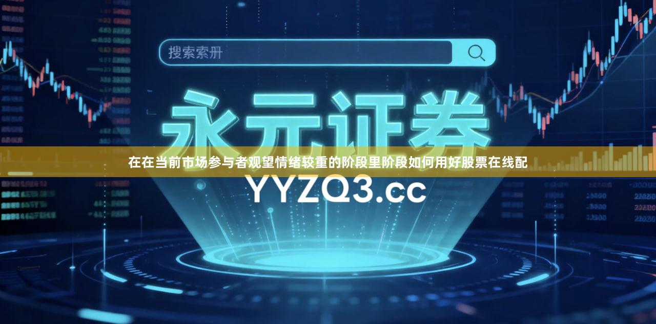 在在当前市场参与者观望情绪较重的阶段里阶段如何用好股票在线配